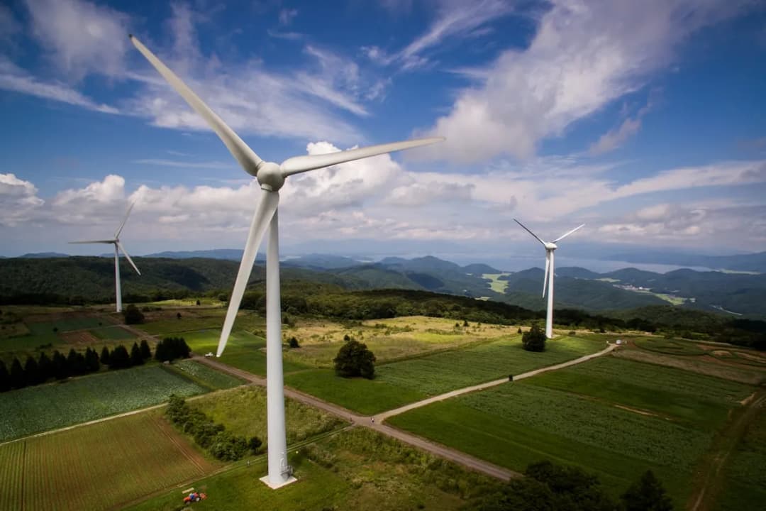 Czy elektrownie wiatrowe są szkodliwe dla zdrowia ludzi? Fakty i mity